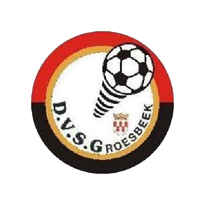 DVSG-Webshop-snelders logo