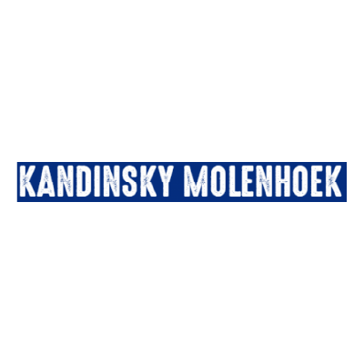 Kandinsky-Webshop-snelders logo