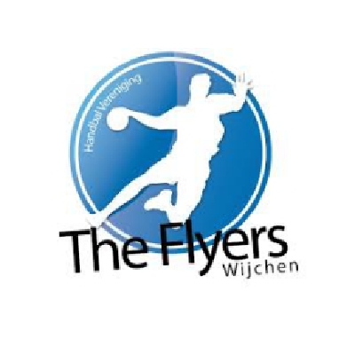The-FLyers-Webshop-snelders logo